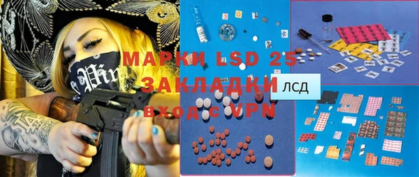 ECSTASY Ветлуга