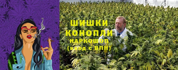 ECSTASY Ветлуга